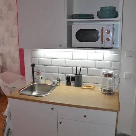 U Václava V Centru Města Appartamento